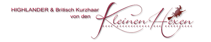 schrift-Hexen1.png